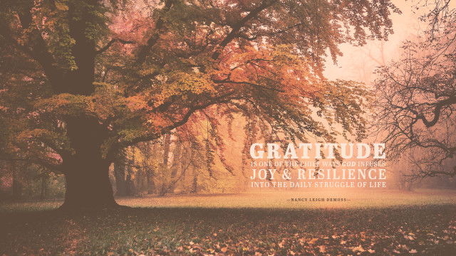 Tree quote gratitude joy resilience free wallpaper for desktop - medium preview image