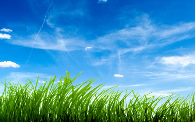 Green field blue sky clouds #75 free wallpaper for desktop - medium preview image