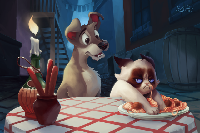 Cat dog table food candle free wallpaper for desktop - medium preview image