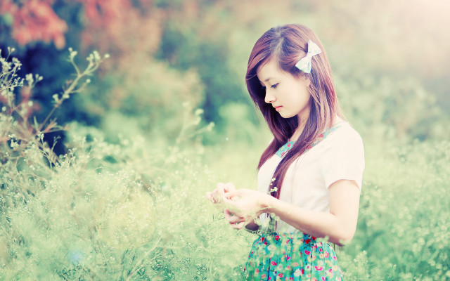 Girl field grass flower phone free wallpaper for desktop - medium preview image