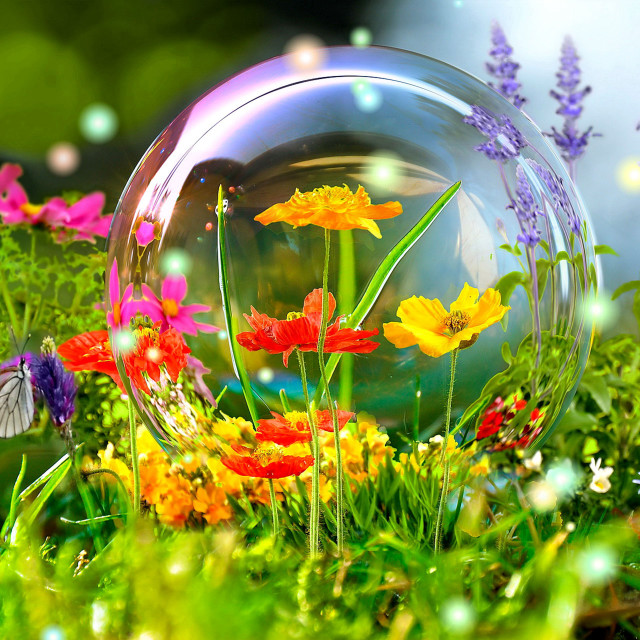 Bubble flowers inside grass field free wallpaper for tablet - medium preview image