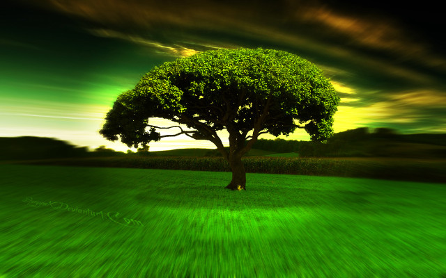 Tree field green sky green free wallpaper for desktop - medium preview image