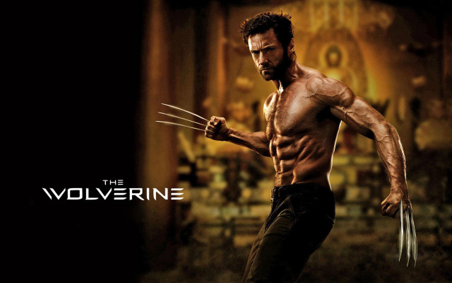 Man wolverine costume wolverine stick free wallpaper for desktop - medium preview image