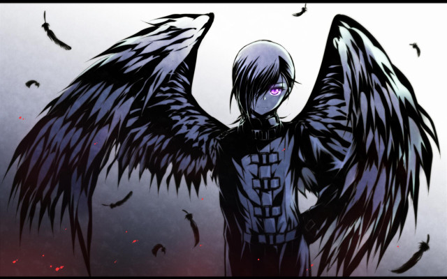 Man black wings flock birds free wallpaper for desktop - medium preview image