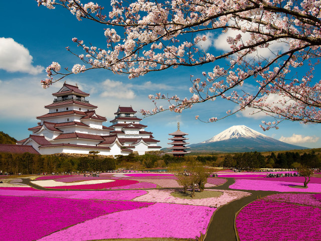 Large building mountain pink flowers free wallpaper for desktop - medium preview image