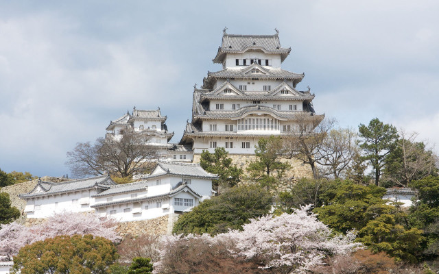 Tall tower clock trees bushes free wallpaper for desktop - medium preview image