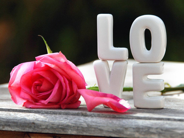 Rose love wooden surface pink free wallpaper for desktop - medium preview image