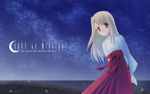 Girl long dress field night free wallpaper for desktop - medium preview image