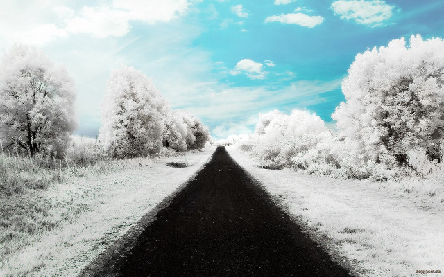 Black white road field trees free wallpaper for desktop - medium preview image