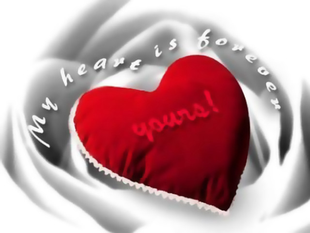 Heart message white rose red free wallpaper for desktop - medium preview image