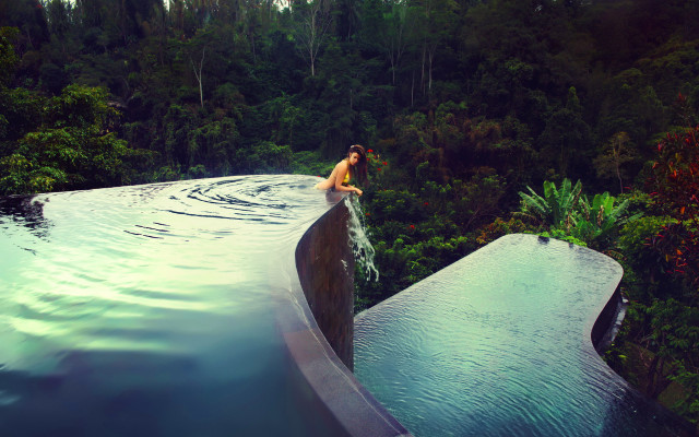 Man sitting ledged pool jungle free wallpaper for desktop - medium preview image