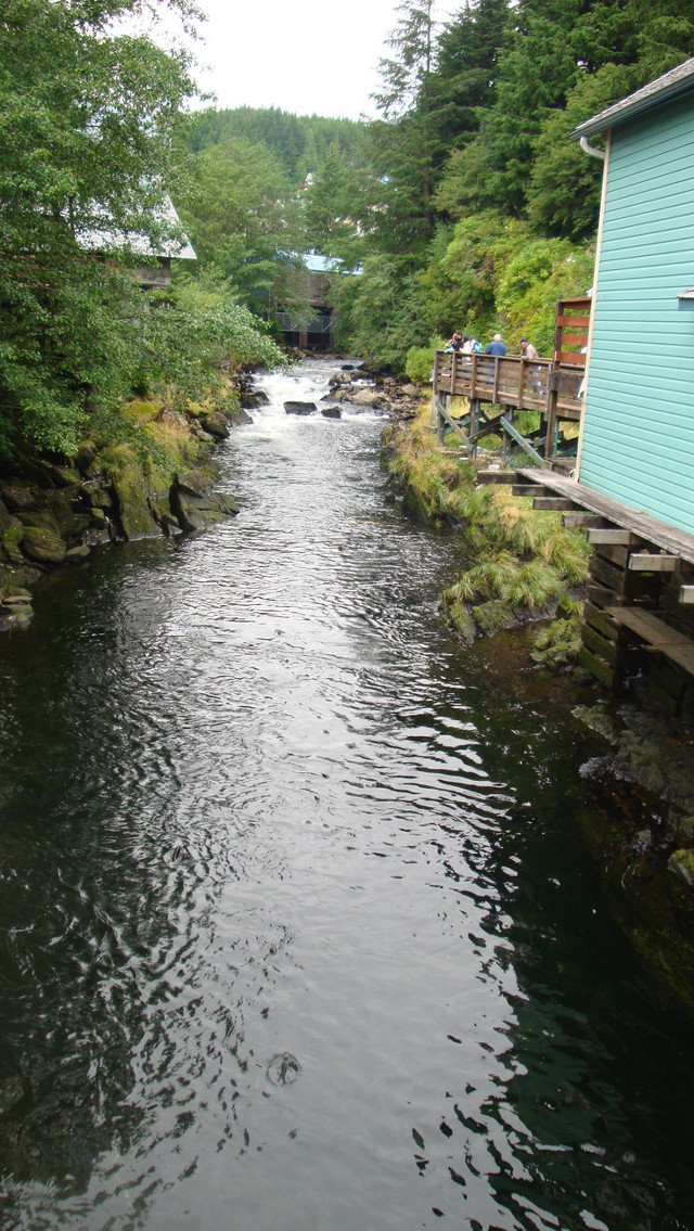 River forest trees people dock free wallpaper for mobile - medium preview image