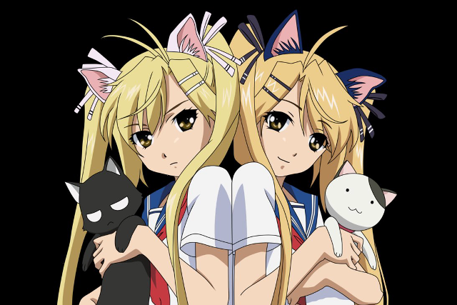 Anime girls blonde hair cat free wallpaper for desktop - medium preview image