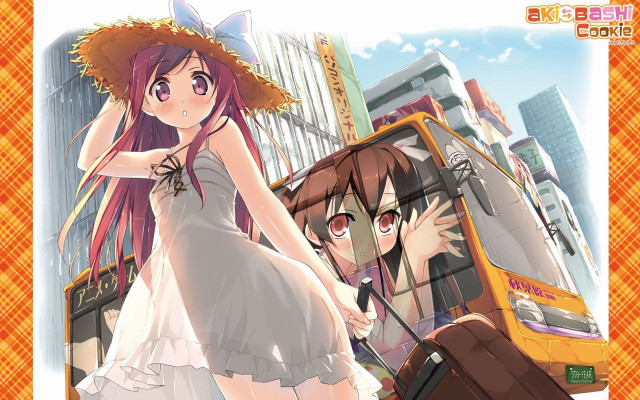 Woman dress hat bus man free wallpaper for desktop - medium preview image