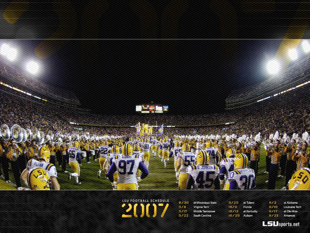 Football stadium crowd field lights free wallpaper for desktop - medium preview image