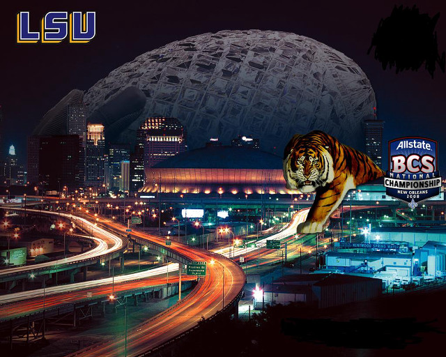 Tiger walking city night ball free wallpaper for desktop - medium preview image