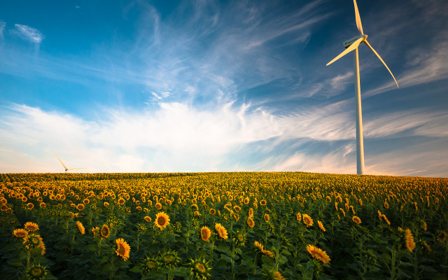 Sunflowers wind turbine blue sky free wallpaper for desktop - medium preview image