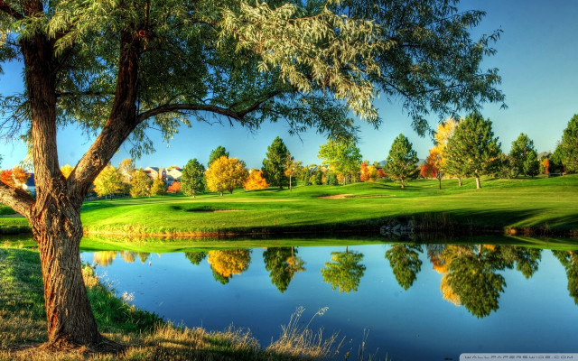 Golf course pond trees green #2 free wallpaper for desktop - medium preview image