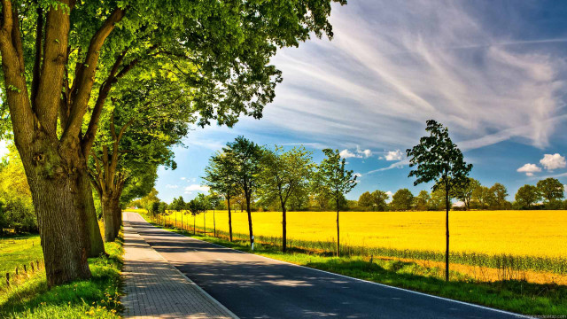 Road trees field grass blue free wallpaper for desktop - medium preview image