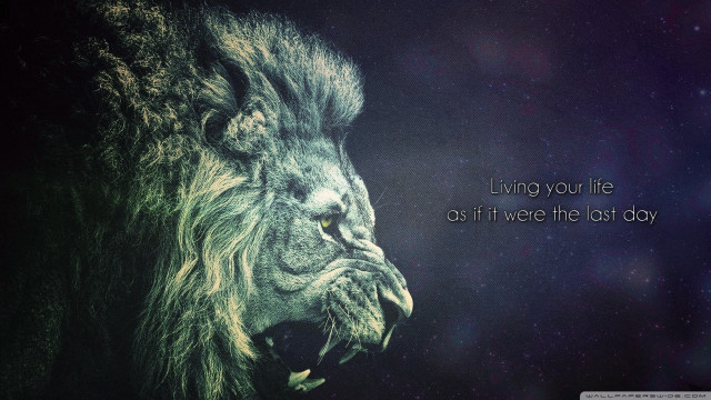 Lion mouth open quote image free wallpaper for desktop - medium preview image