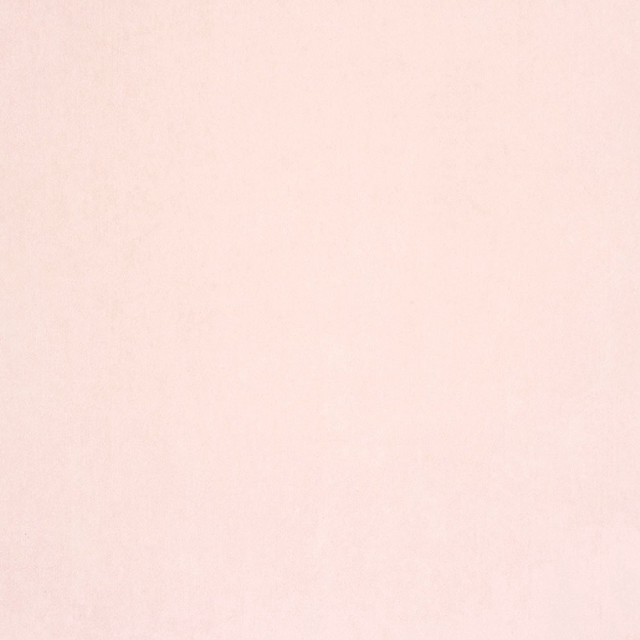 White wall black white cat #4 free wallpaper for tablet - medium preview image