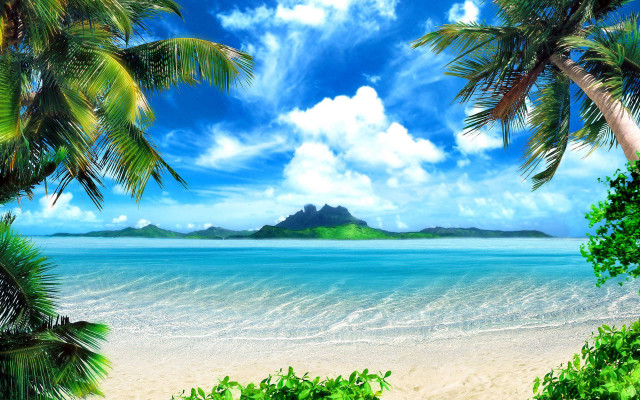 Tropical beach palm trees mountain free wallpaper for desktop - medium preview image