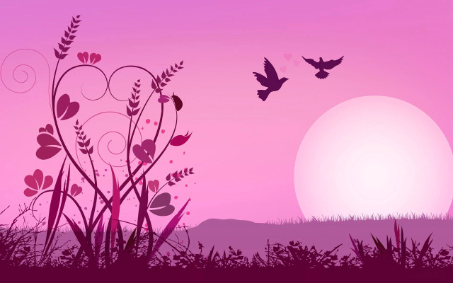 Pink sunset bird flying field free wallpaper for desktop - medium preview image