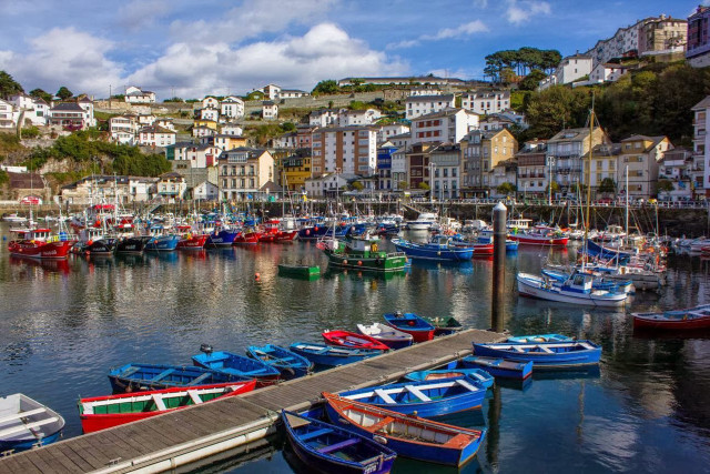 Harbor boats city hillside trees free wallpaper for desktop - medium preview image