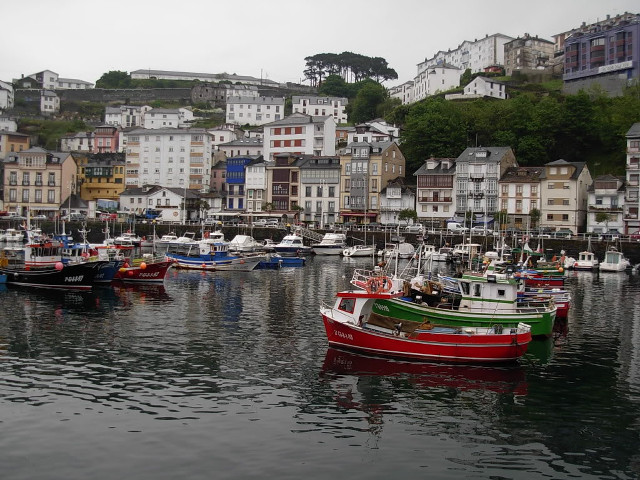 Boats lake city buildings trees free wallpaper for desktop - medium preview image