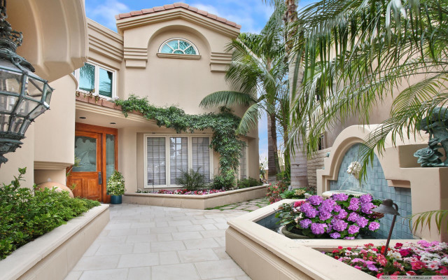 House plants flowers yard light free wallpaper for desktop - medium preview image