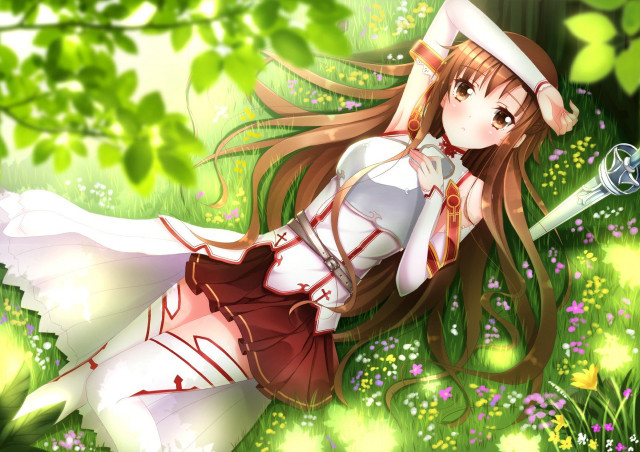 Girl dress hat grass sword #2 free wallpaper for desktop - medium preview image