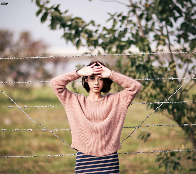 Pink sweater barbed wire blurry free wallpaper for tablet - medium preview image