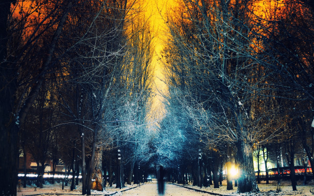 Snowy night park path lamppost free wallpaper for desktop - medium preview image