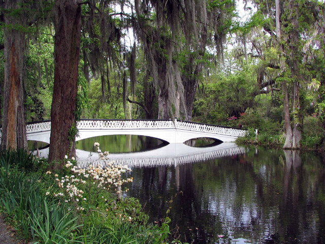 Bridge river white trees flowers free wallpaper for desktop - medium preview image