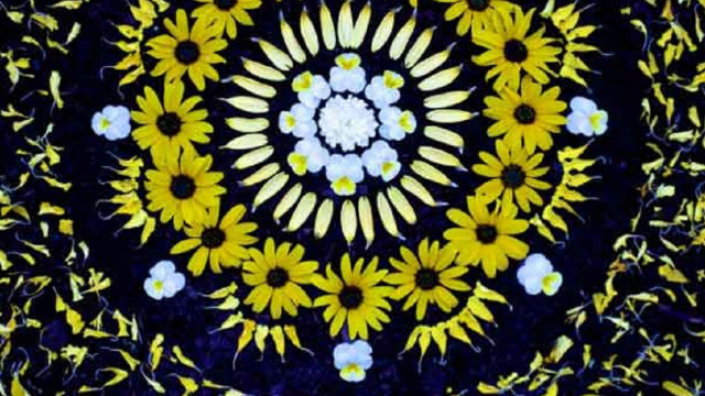 Yellow flowers circle black background free wallpaper for desktop - medium preview image