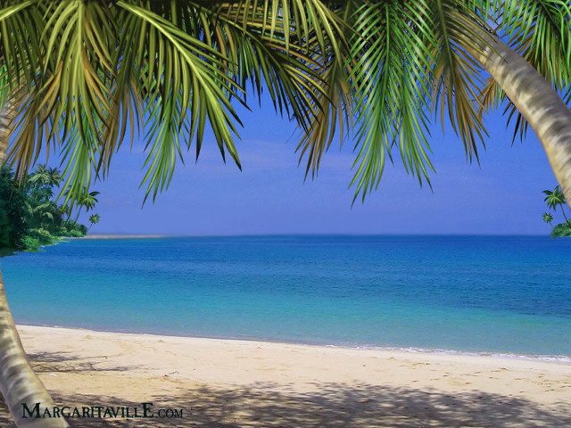 Beach palm tree blue ocean free wallpaper for desktop - medium preview image
