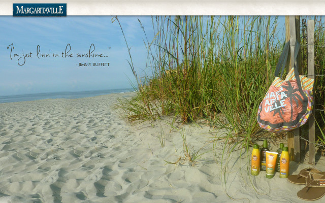 Beach lifeguards safety sunshine sand free wallpaper for desktop - medium preview image