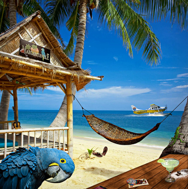 Blue parrot hammock beach boat free wallpaper for tablet - medium preview image