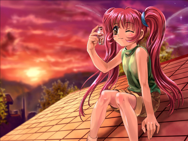 Girl roof wine sunset background free wallpaper for desktop - medium preview image
