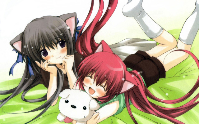 Anime girls bed cat teddy free wallpaper for desktop - medium preview image