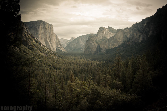 Valley mountains trees foreground scenery #2 free wallpaper for desktop - medium preview image