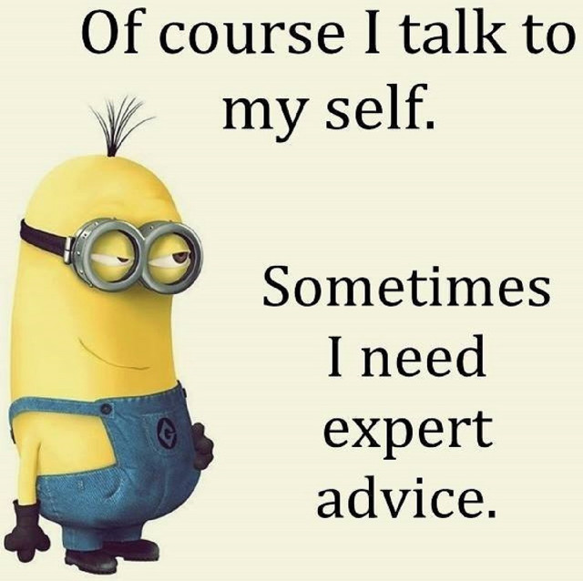 Minion funny expression quote verdadism #2 free wallpaper for tablet - medium preview image