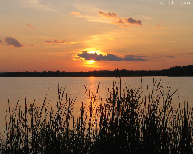 Sunset lake tallgrass clouds trees free wallpaper for desktop - medium preview image
