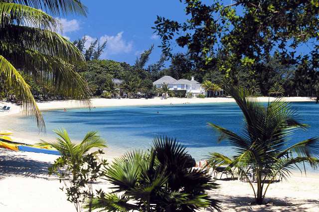 Beach blue lagoon palm trees free wallpaper for desktop - medium preview image