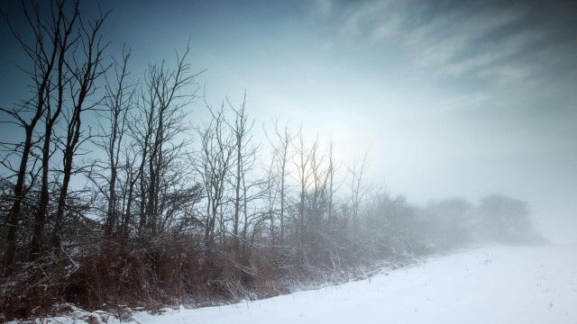 Snowy landscape trees road sun free wallpaper for desktop - medium preview image