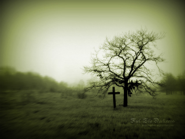 Lone tree field cross foggy free wallpaper for desktop - medium preview image