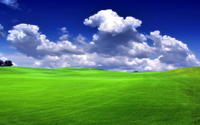 Green field clouds lone tree free wallpaper for desktop - medium preview image