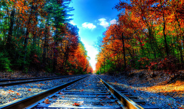 Train track trees blue sky free wallpaper for desktop - medium preview image