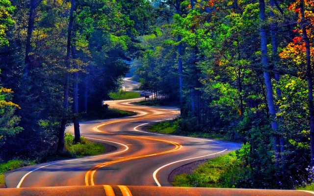 Curved road trees bushes vibrant free wallpaper for desktop - medium preview image
