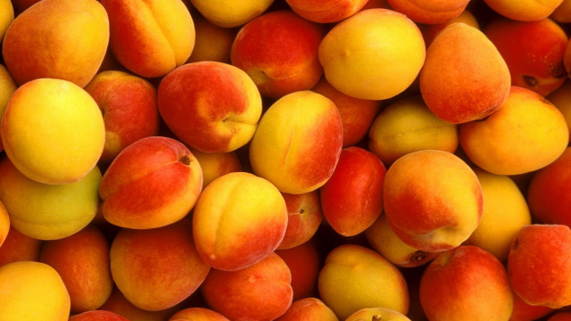 Peaches apricots pile peach closeup free wallpaper for desktop - medium preview image